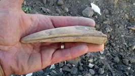 2012-07-18_21-03-19_75 (1024x577).webp
