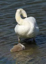 20120629_32.webp