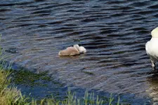 20120629_35.webp