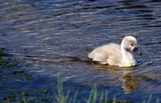 20120629_40.webp