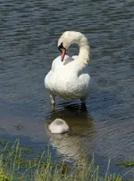 20120629_46.webp