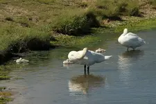 20120629_64.webp
