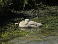 20120629_67.webp