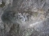adjusted.webp