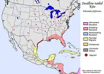 swallow_tailed_kite_map_small.webp