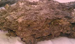 IMAG0220.webp