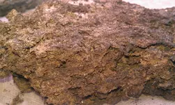 IMAG0224.webp