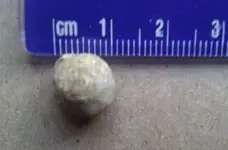 bullets_upstate ny 7.webp