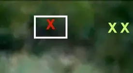rey-hole.webp