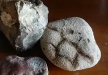 hammer stone florida - Copy.webp