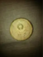 image-2420721210.webp