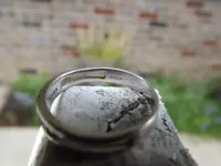 DSCF0867.webp