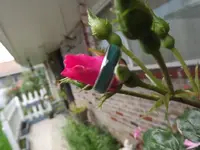 DSCF0858.webp