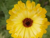 DSCF0945.webp