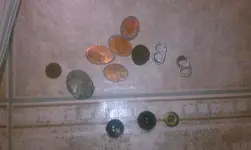 IMAG0277.webp