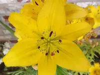 DSCF0962.webp