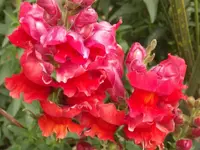 DSCF0947.webp