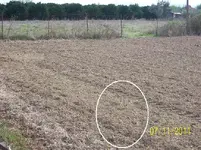 100_0576dowsed.webp