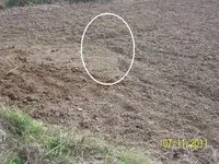 100_0577dowsed.webp