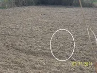 100_0579dowsed.webp