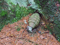 Pineapple grenade.gif