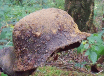 German helmet-1.gif