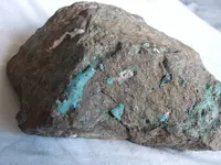 DSCF1598.webp