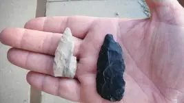 DSCF0165.webp