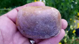 2012-08-09_07-10-47_472 (1280x722).webp