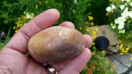2012-08-09_07-10-08_975 (1280x722).webp