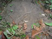 DSCN5703.webp