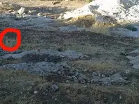 rocksigns1x.webp