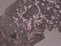 silver ore.webp