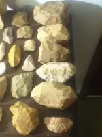 image-4041297982.webp