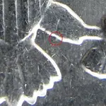 82_noFG_closeup_30jun2012.webp