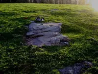 yard 019.jpgdrk.jpgrres.webp