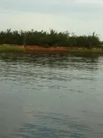179970_2233951186013_1800263689_n.webp
