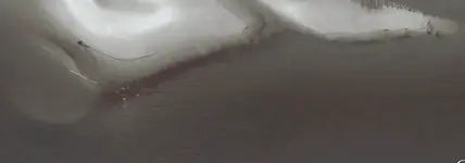 Bottom Stain.webp