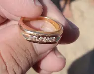 The Ring.webp