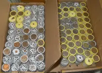 DSCN5441.webp