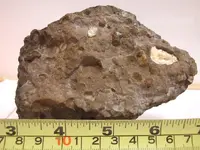 DSCF1761.webp