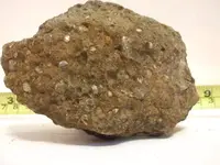 DSCF1763.webp