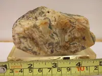 DSCF1786.webp