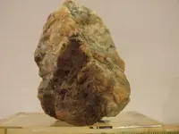 DSCF1790.webp