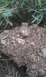 bulletnhole8-26-12.webp