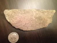 photo 1.webp photo 1.webp