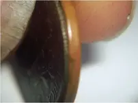 Half Penny Half Dime.webp