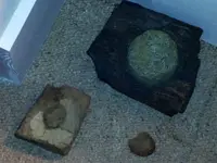 image-3780569134.webp