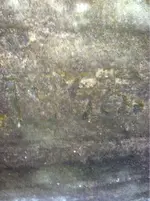 image-1757982985.webp