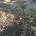 09062012298bn.webp